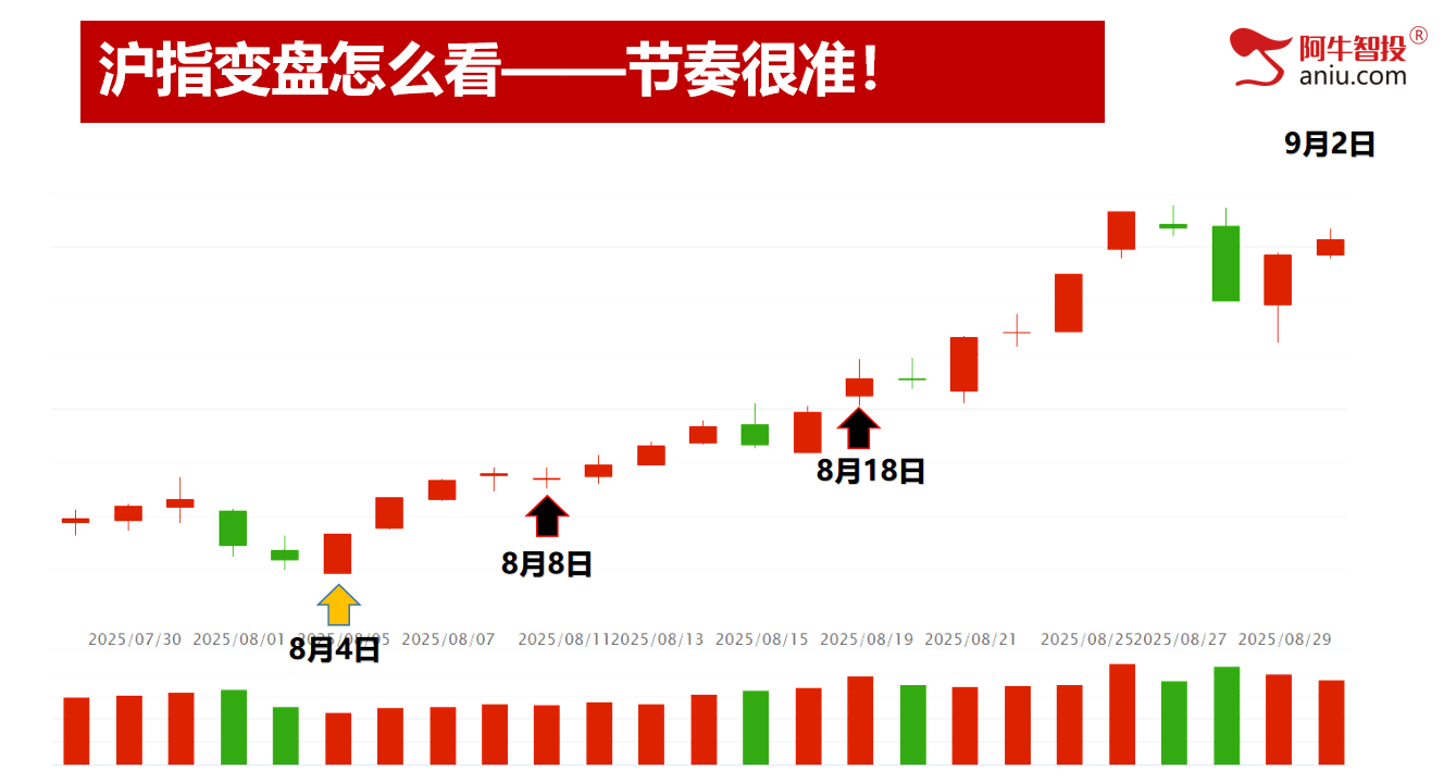 8月收官，这四只牛股你做到了吗？快来报喜！