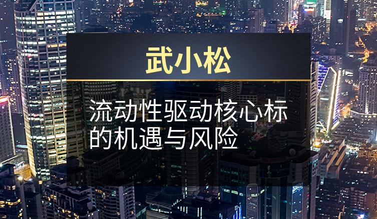 武小松：流动性驱动核心标的机遇与风险