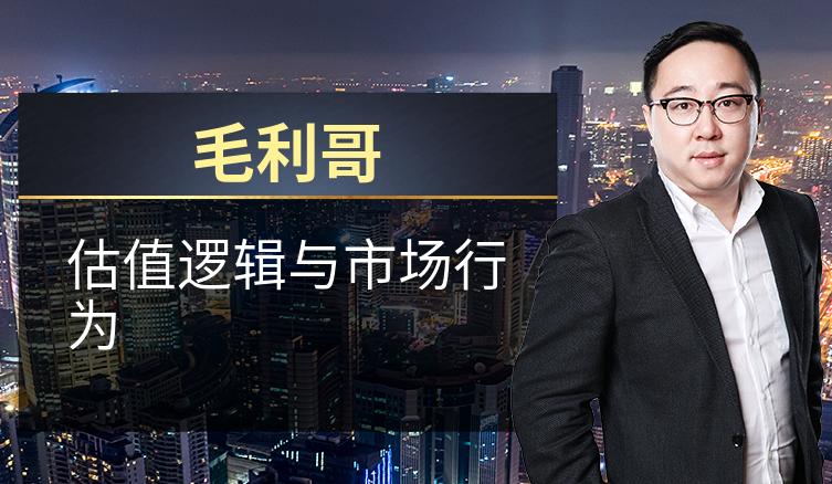 毛利哥：估值逻辑与市场行为