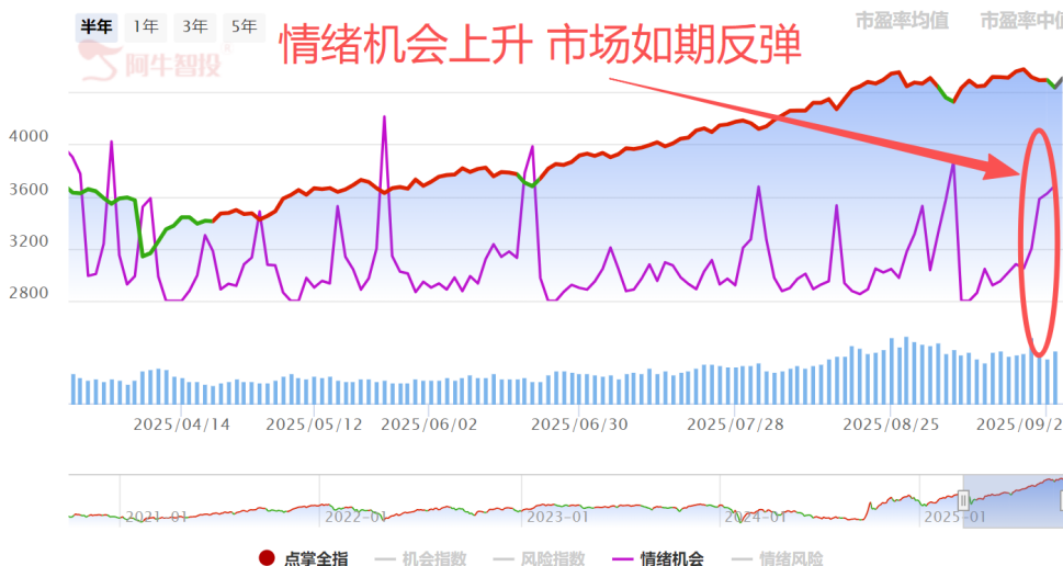 反弹短线看什么？