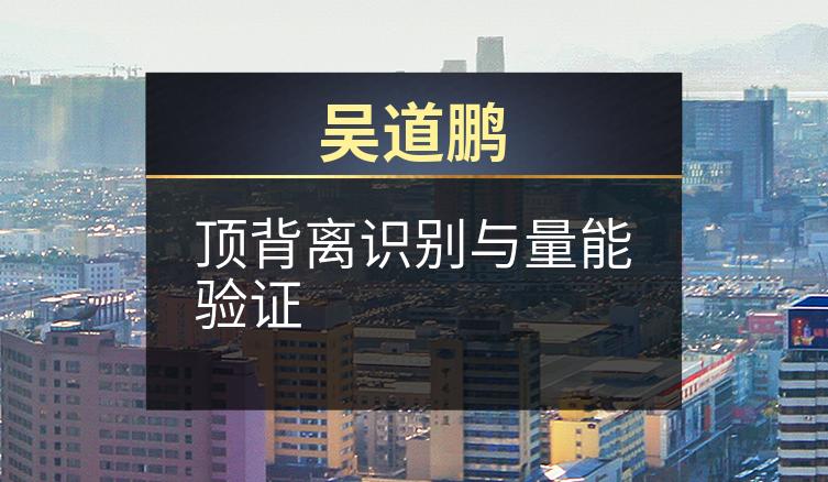 吴道鹏：顶背离识别与量能验证