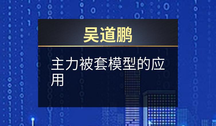 吴道鹏：主力被套模型的应用