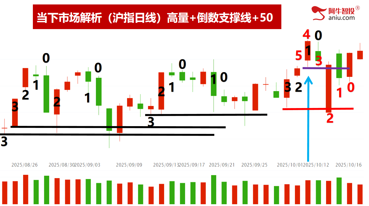 指数上涨个股不涨怎么办？是留还是换，选龙头股大揭秘！