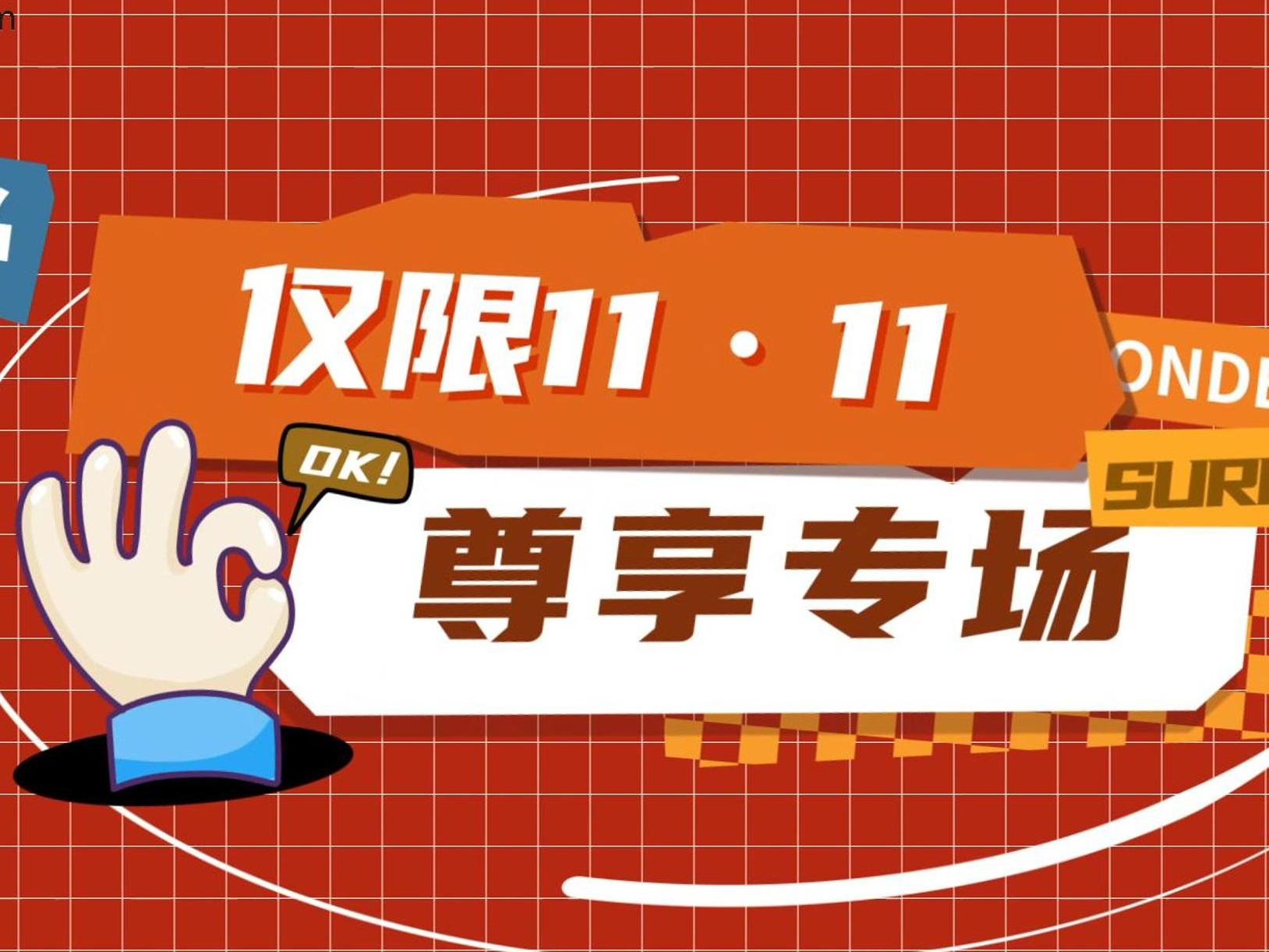 仅限双十一，尊享专场