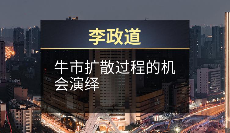 李政道：牛市扩散过程的机会演绎