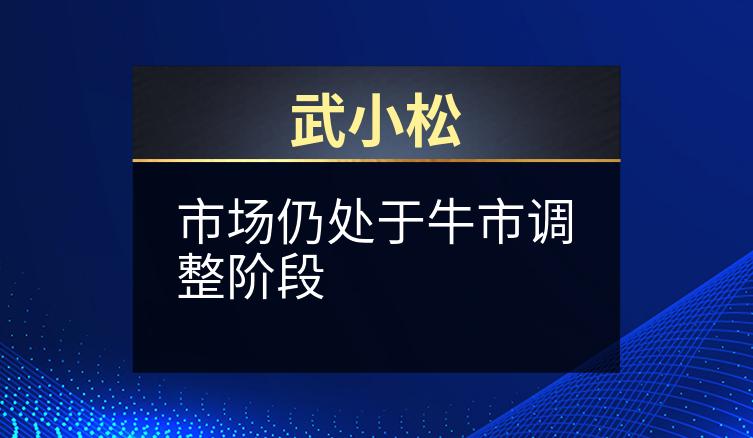武小松：市场仍处于牛市调整阶段