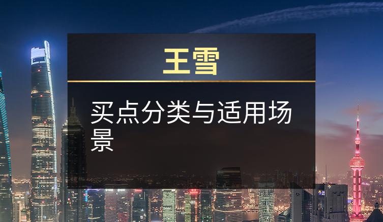 王雪:买点分类与适用场景