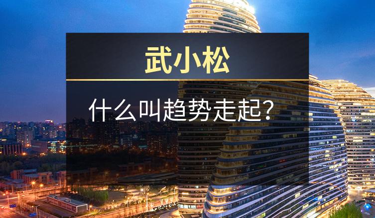 武小松:什么叫趋势走起?