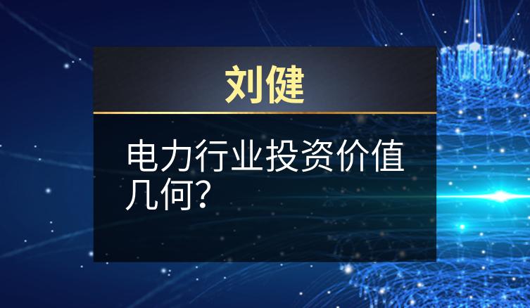 刘健：电力行业投资价值几何？