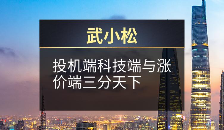 武小松：投机端科技端与涨价端三分天下