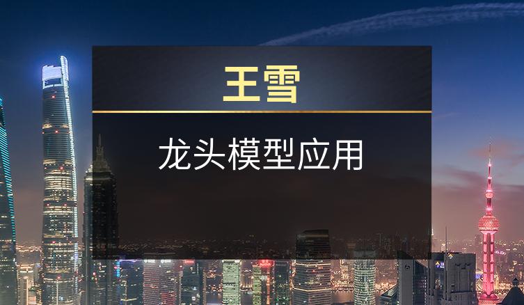 王雪：龙头模型应用