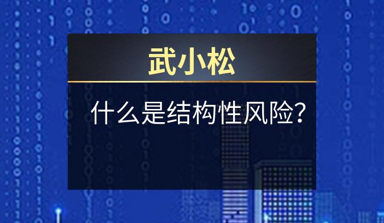 武小松：什么是结构性风险？