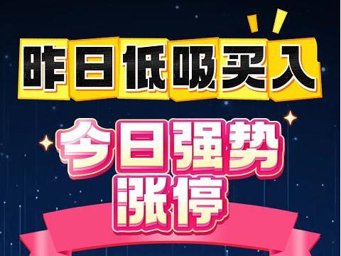 昨日低吸买入，今日强势涨停！