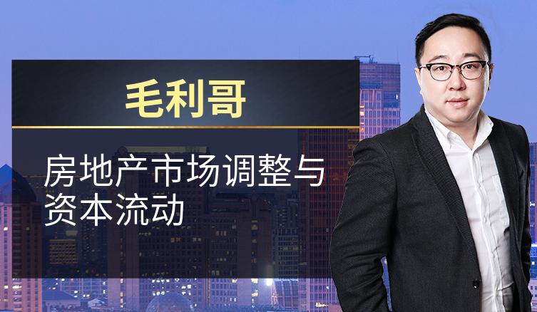 毛利哥：房地产市场调整与资本流动