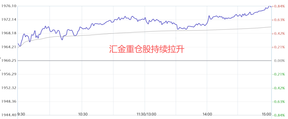 牛市亏钱 原因何在？