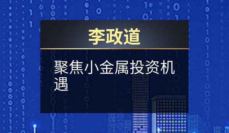 李政道：聚焦小金属投资机遇