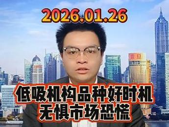 低吸机构品种好时机，无惧市场恐慌