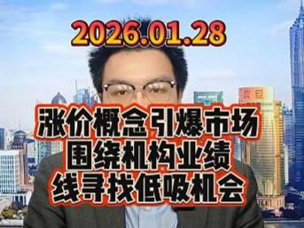 涨价概念引爆市场，围绕机构业绩线寻找低吸机会