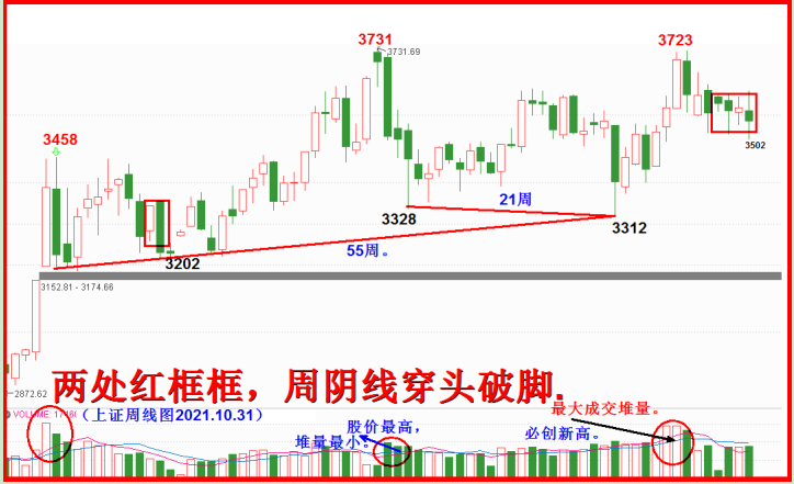 周阴线穿头破脚反打三，止跌转而震荡向上！