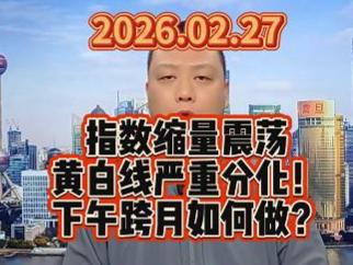 指数缩量震荡 黄白线严重分化！ 下午跨月如何做？