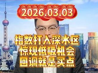 指数打入深水区惊现低吸机会，回调就是买点