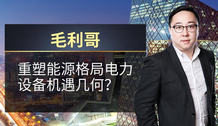 毛利哥：重塑能源格局电力设备机遇几何？