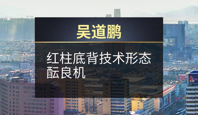 吴道鹏：红柱底背技术形态酝良机