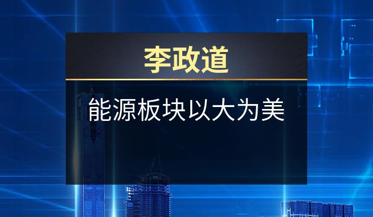 李政道：能源板块以大为美