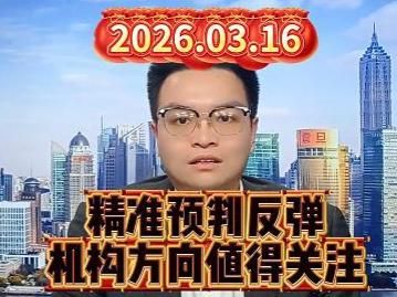 精准预判反弹，机构方向值得关注
