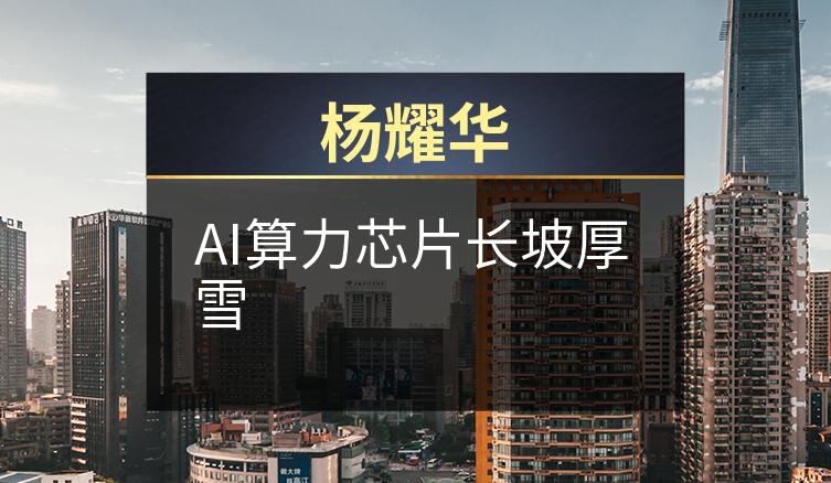 杨耀华：AI算力芯片长坡厚雪
