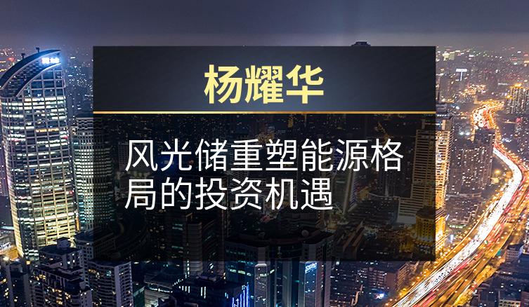 杨耀华：风光储重塑能源格局的投资机遇