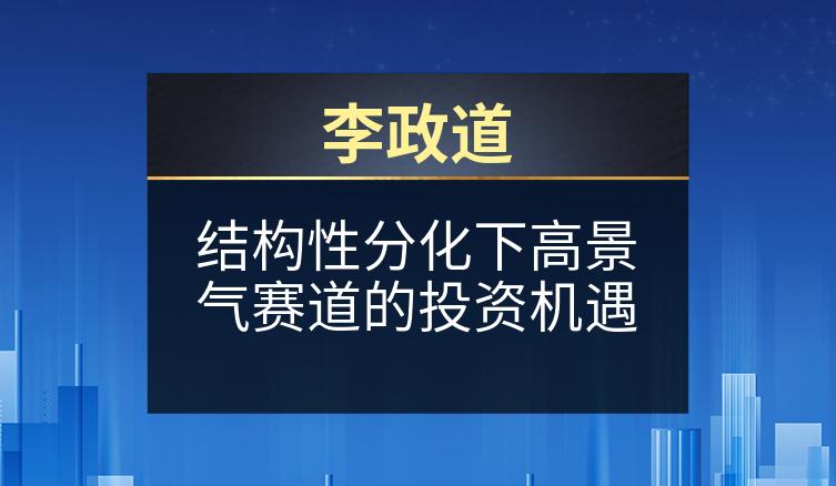 李政道：结构性分化下高景气赛道的投资机遇