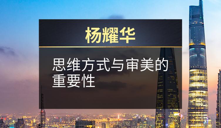 杨耀华：思维方式与审美的重要性