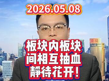 板块内板块间相互抽血，静待花开！