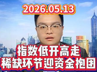 指数低开高走，稀缺环节迎资金抱团