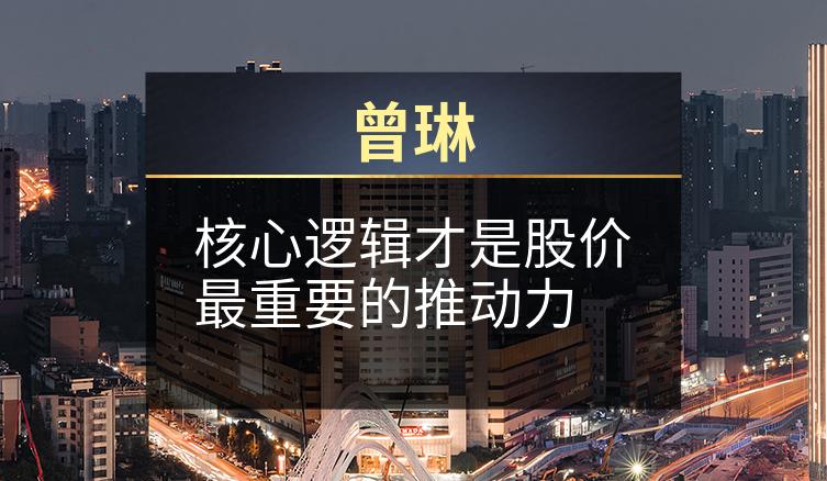 曾琳：核心逻辑才是股价最重要的推动力