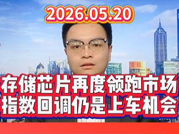 存储芯片再度领跑市场，指数回调仍是上车机会