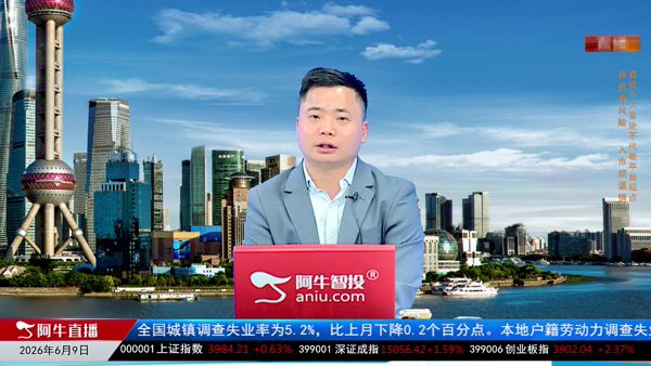 杨耀华：电力设备开启新蓝海