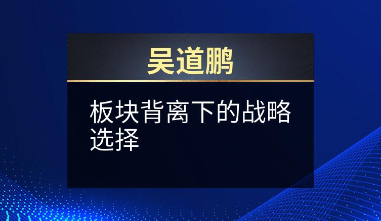 吴道鹏：板块背离下的战略选择