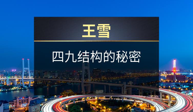 王雪：四九结构的秘密