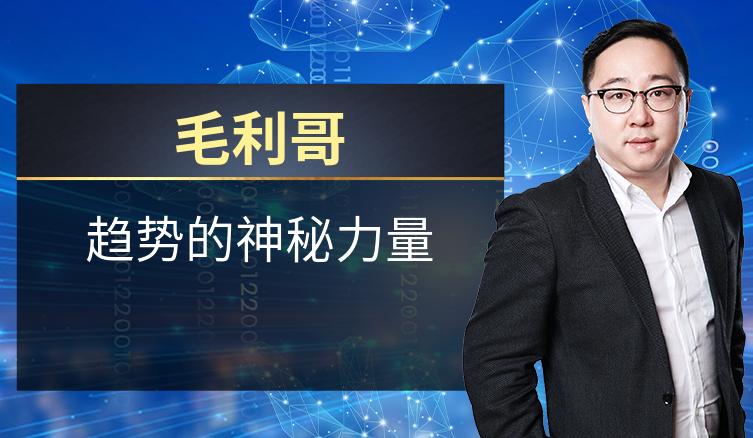 毛利哥：趋势的神秘力量