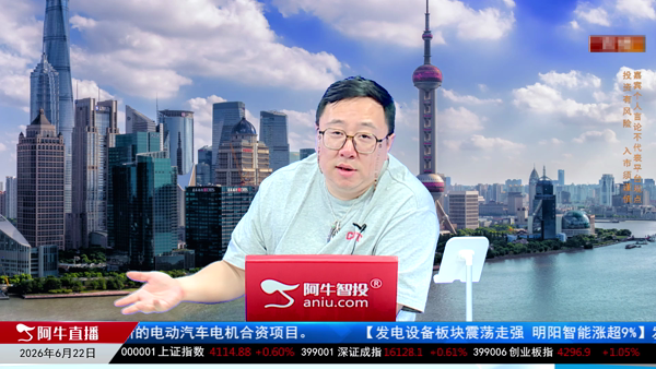 毛利哥：结构性分化权重博弈与中小承压