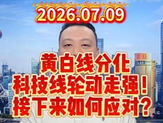 黄白线分化 科技线轮动走强！ 接下来如何应对？