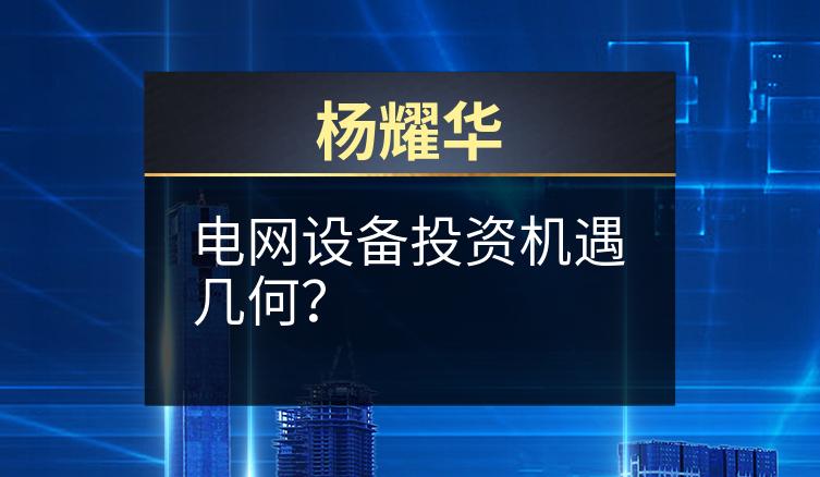 杨耀华：电网设备投资机遇几何？