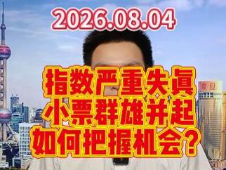 指数严重失真小票群雄并起，如何把握机会？