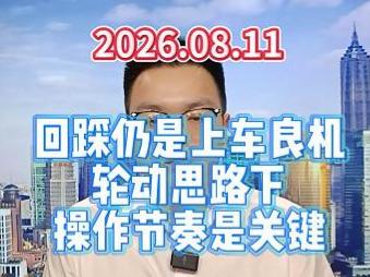 回踩仍是上车良机，轮动思路下操作节奏是关键