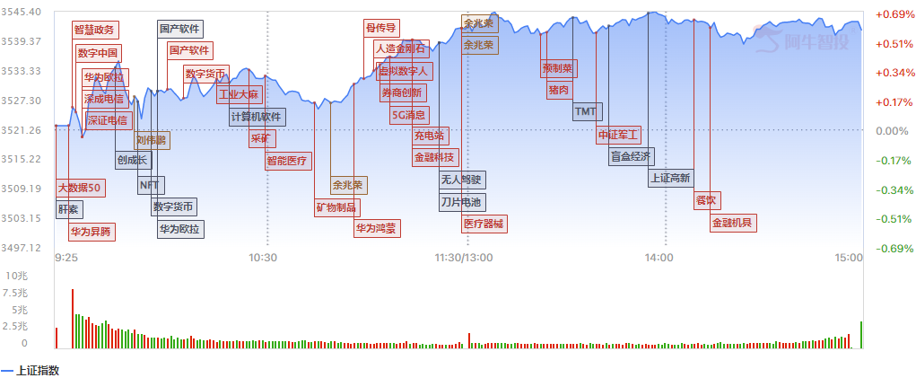 宁王崛起 大盘无忧