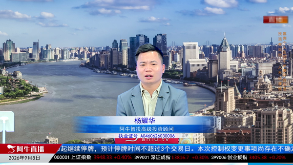 杨耀华：存量博弈下的结构性机遇
