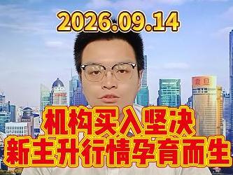 机构买入坚决，新主升行情孕育而生