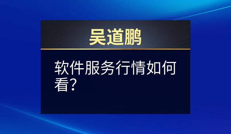 吴道鹏：软件服务行情如何看？